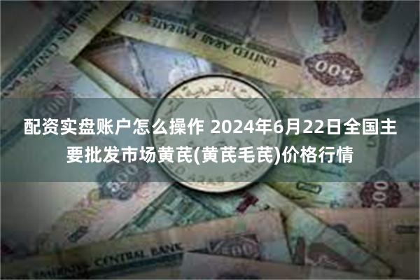 配资实盘账户怎么操作 2024年6月22日全国主要批发市场黄芪(黄芪毛芪)价格行情