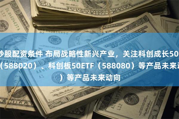 炒股配资条件 布局战略性新兴产业，关注科创成长50ETF（588020）、科创板50ETF（588080）等产品未来动向